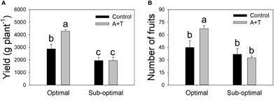 Inoculation with a microbial consortium increases soil microbial diversity and improves agronomic traits of tomato under water and nitrogen deficiency